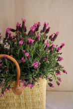 Cargar imagen en el visor de la galería, canasto toscana con plantas